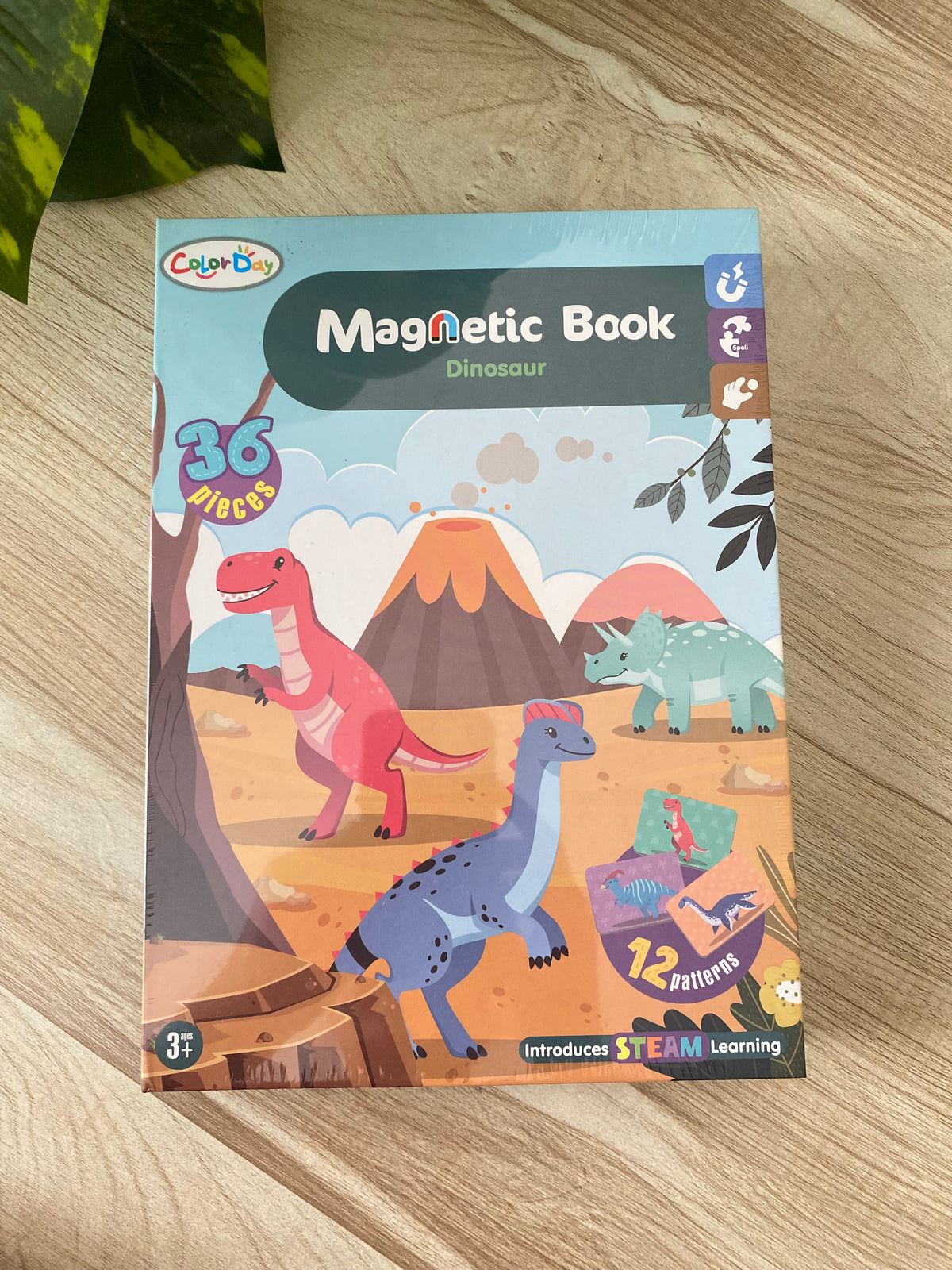 Dinosaur Magnetic Activity Book